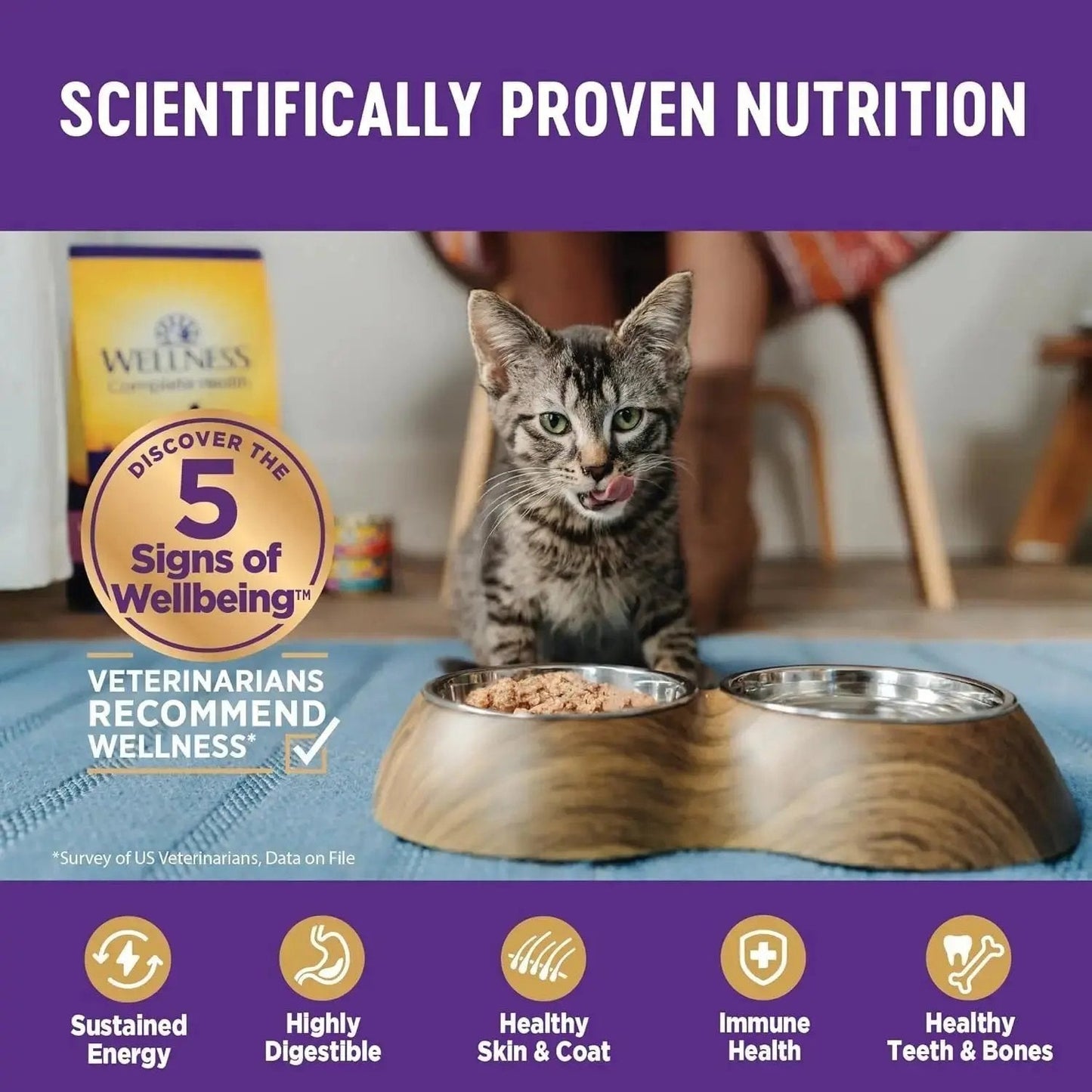 Wellness Complete Health Pate Adult Wet Cat Food, Natural, Protein-Rich, Grain F -Ê Wellness