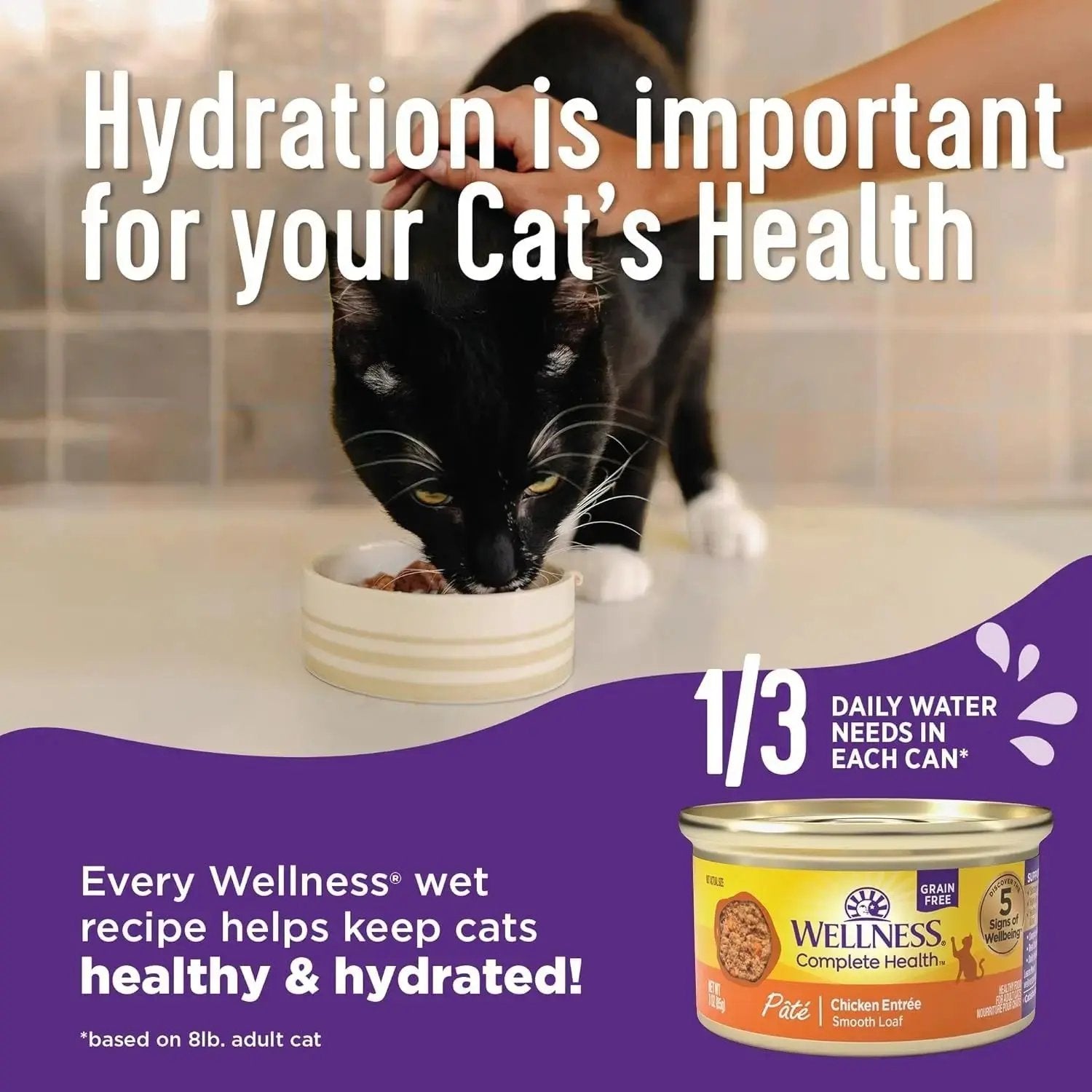 Wellness Complete Health Pate Adult Wet Cat Food, Natural, Protein-Rich, Grain F -Ê Wellness