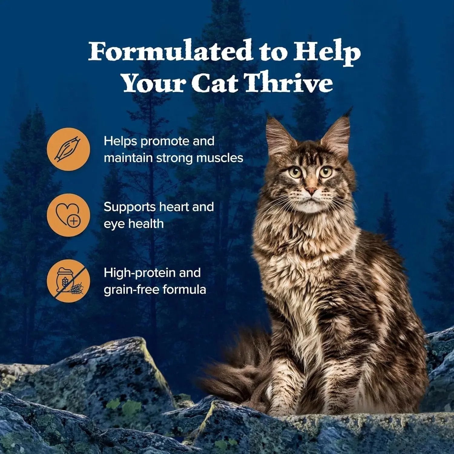 Blue Buffalo Wilderness Wild Delights Minced Natural Wet Cat Food, Chicken & Turkey in Tasty -Ê Blue Buffalo